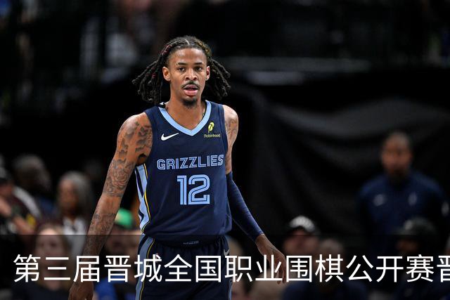 第三届晋城全国职业围棋公开赛晋城开幕